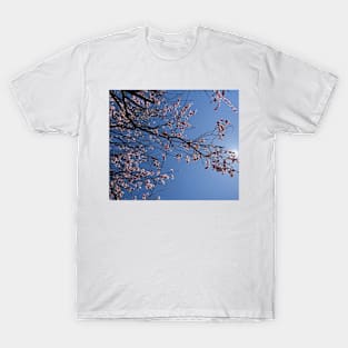 Cherry Blossoms 2 T-Shirt